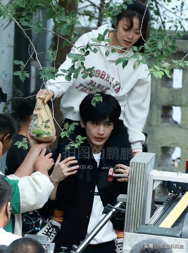 青春剧集19，赵今麦与张凌赫的青春交响曲