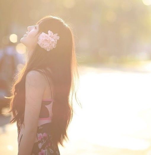 探索香港六合彩的奥秘，揭秘码开奖结果香港码开奖结果2024开奖记录