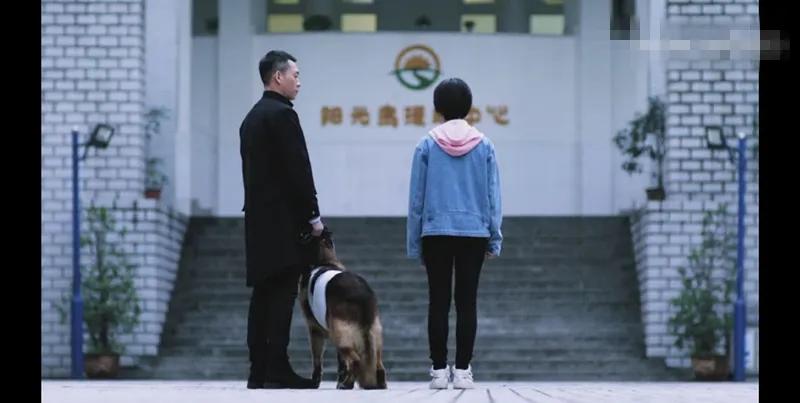 唯美绽放，赵今麦图片大全鉴赏