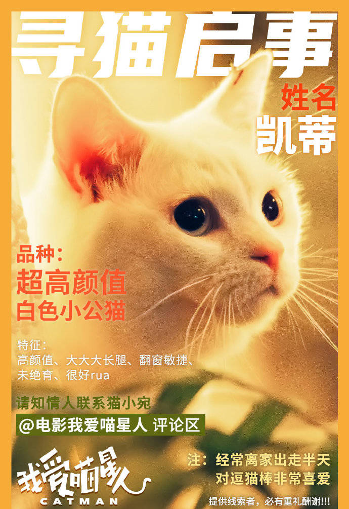 许凯赵今麦，荧幕情侣的甜蜜官宣，爱在光影交错间绽放