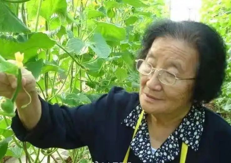 水果奶奶，高手心水第一论坛的传奇人物