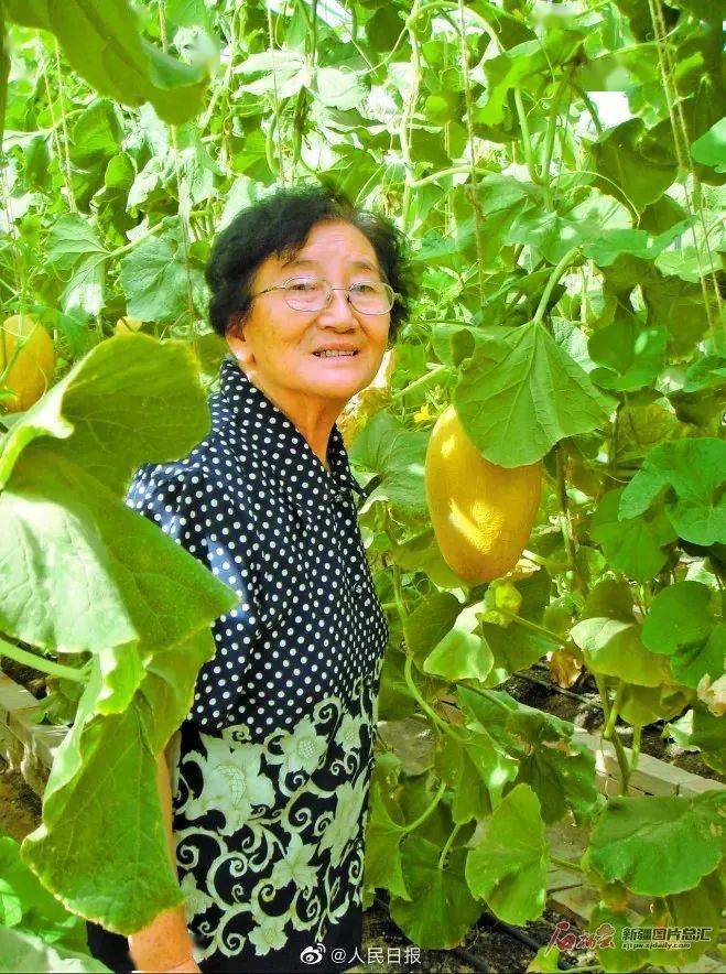 健康与美味 第2页