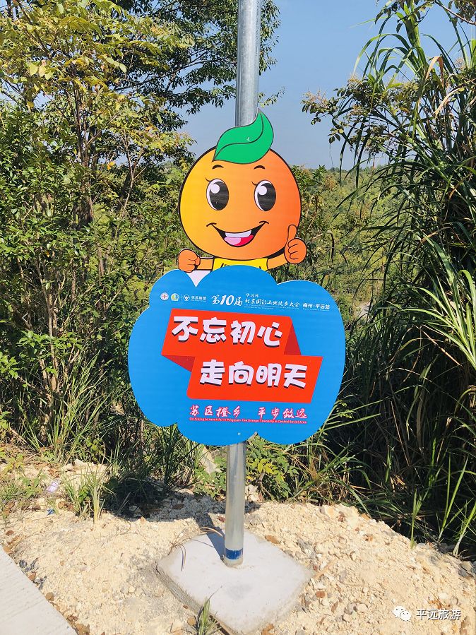 水果奶奶，一位热爱自然的健康生活倡导者