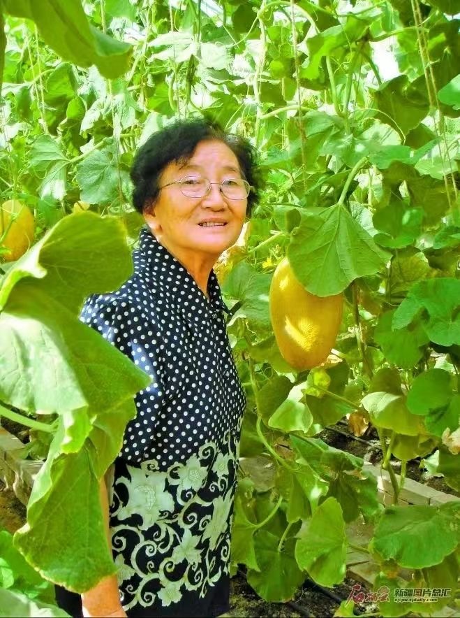 水果奶奶的微笑，揭秘她的真实身份与温暖故事