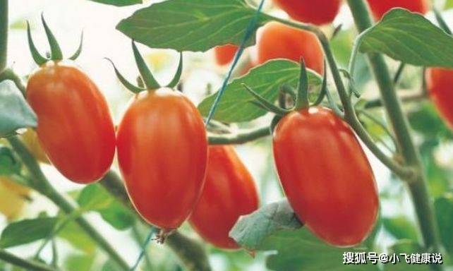 水果奶奶的23777高手之路