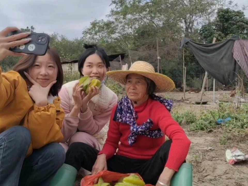 探索水果奶奶高手心水第一论坛的神秘面纱，百度知道之旅