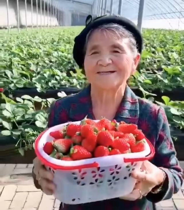 天下水果奶奶，第二坛论坛的甜蜜盛宴