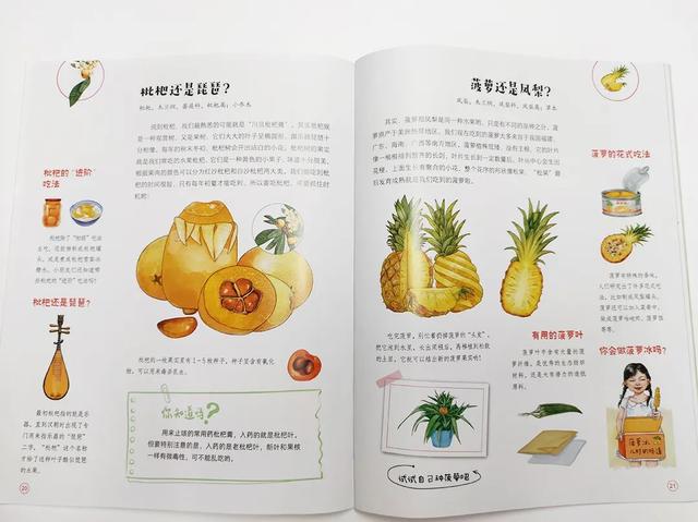 天下水果奶奶，解锁水果知识的宝藏资料网站