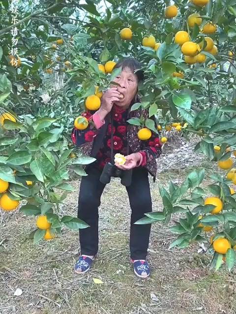 水果奶奶论坛，共享健康与美味的官方正版乐园