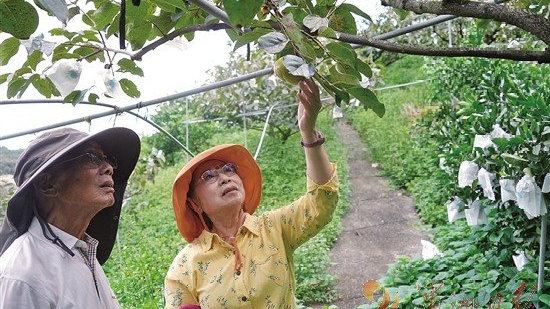 澳门一肖二码中特期，揭秘澳门的文化魅力与现代发展澳门一肖一码100%澳门码