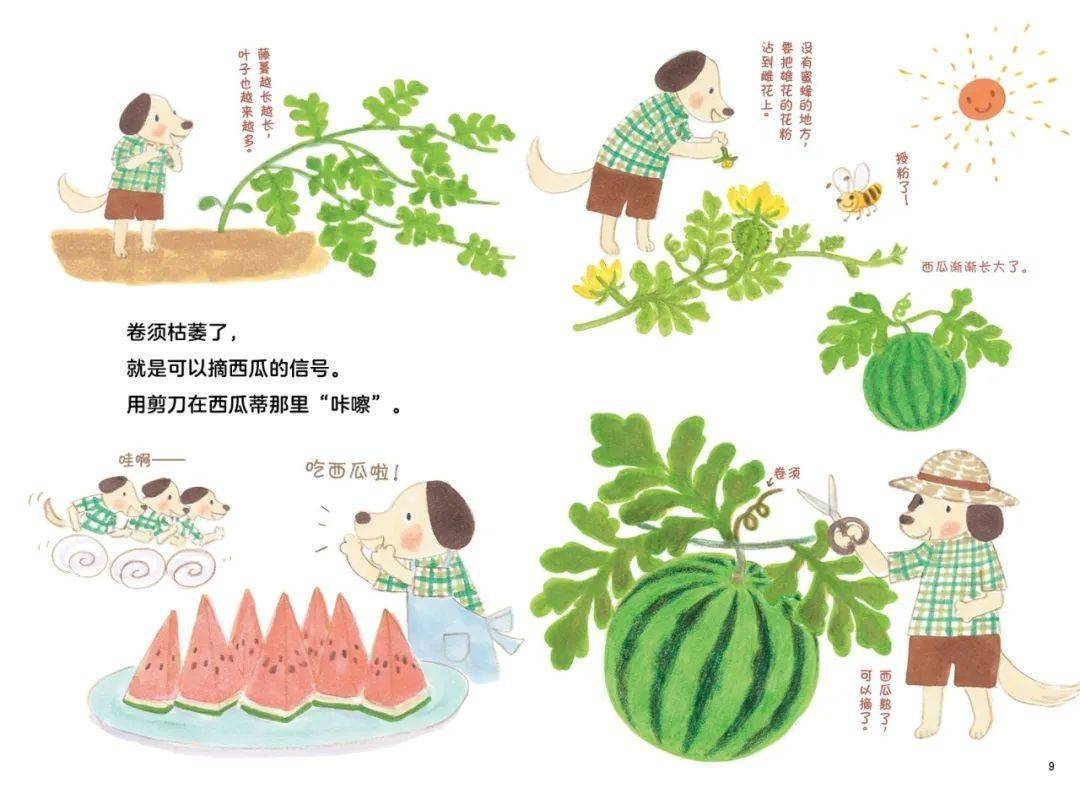 七星彩最近200期走势深度分析