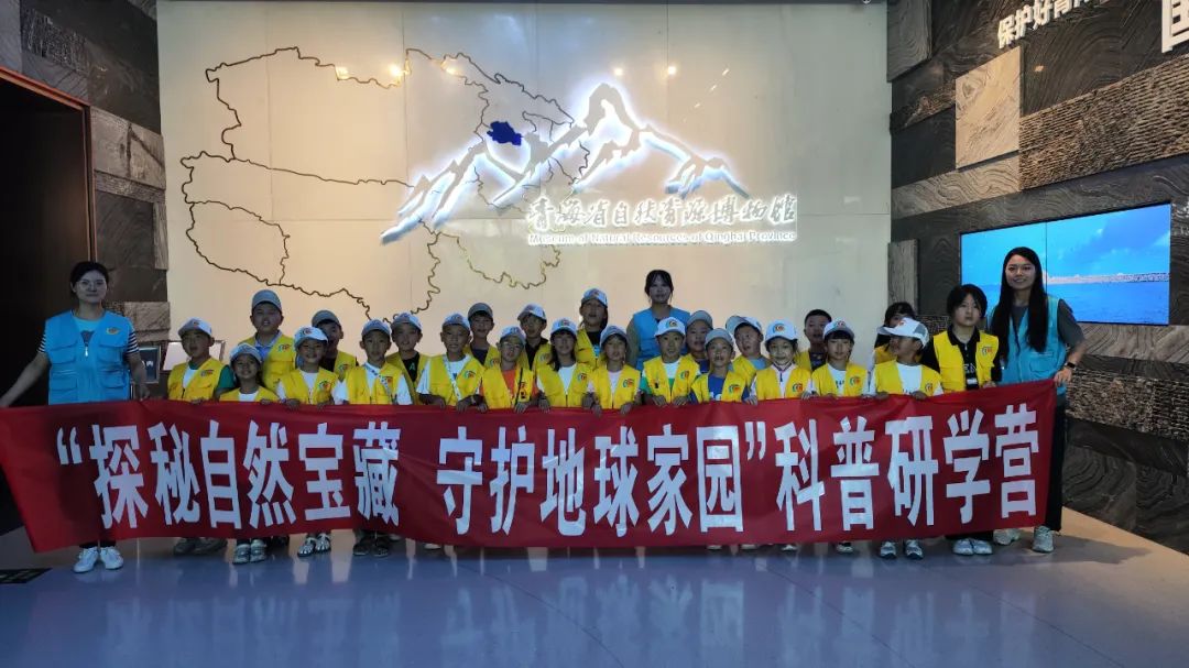 探秘水果奶奶的宝藏，揭秘5肖8码的奇妙之旅