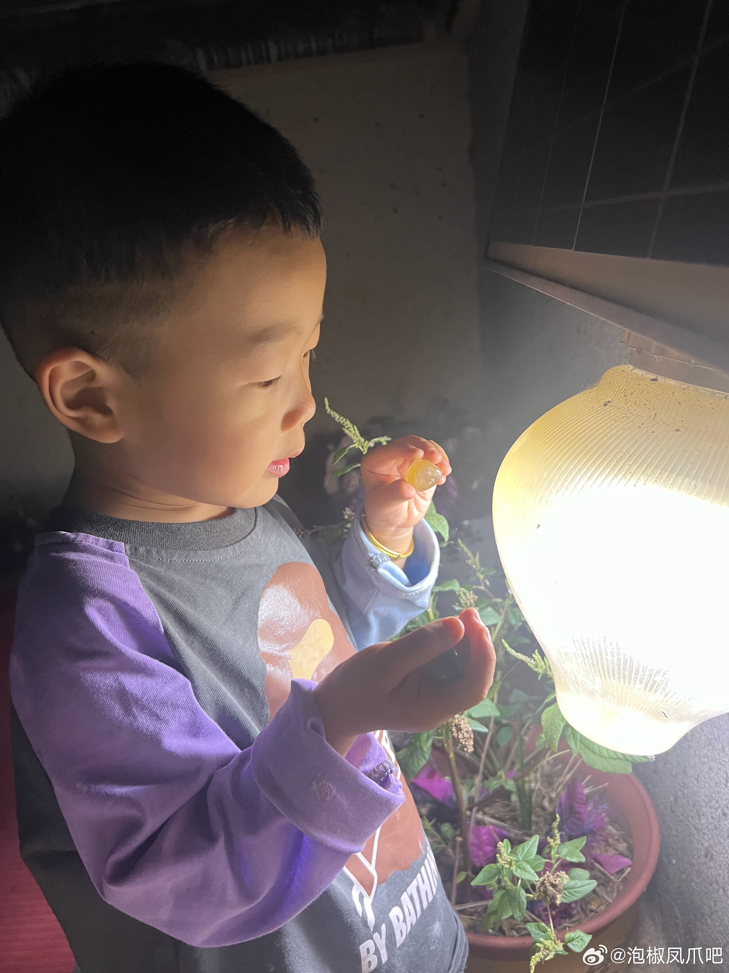 水果奶奶的神秘宝藏，一场寻宝之旅的奇幻冒险