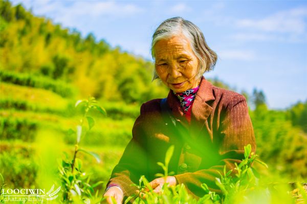 水果奶奶的微笑，一位社区里的甜蜜守护者