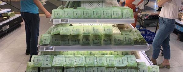 水果奶奶的免费资料大全，简单生活，彩绘未来