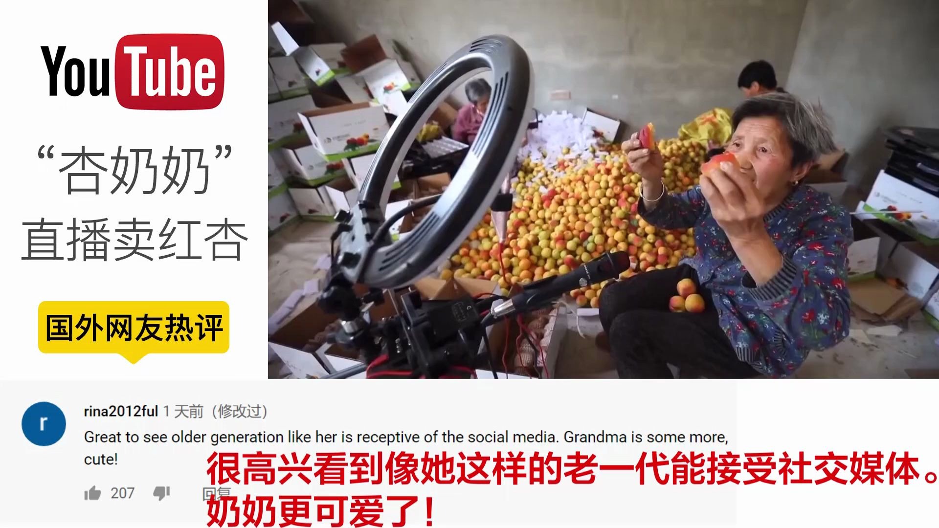 2020年水果奶奶免费资料精选指南