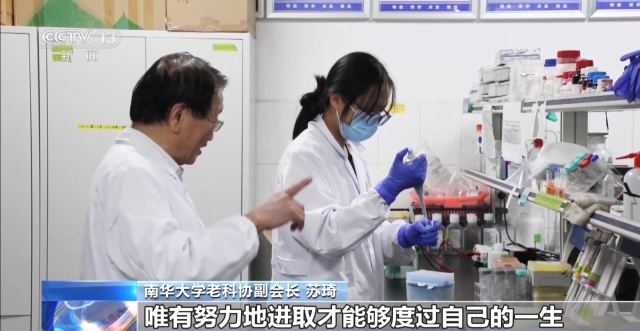 澳门水果奶奶 第6页
