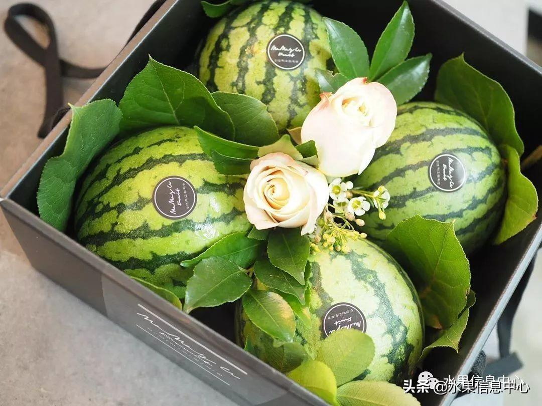 揭秘四肖八码，理性看待彩票与娱乐四肖八码期期准资料免费长期公开讲结果
