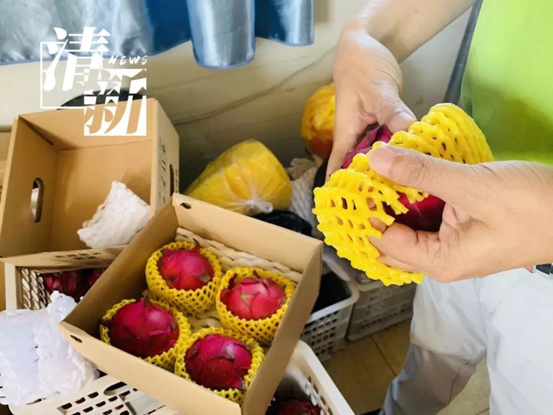 查水果奶奶网址，解锁线上鲜果乐园的秘密通道