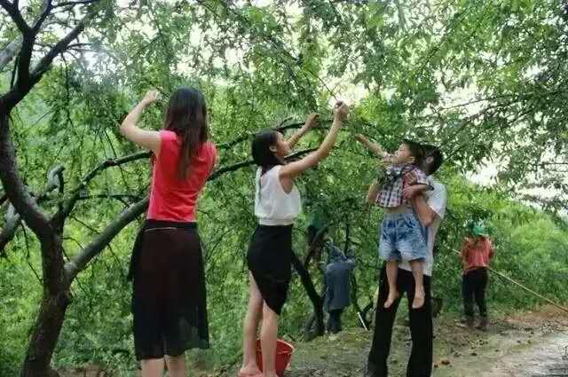 水果奶奶资料免费论坛，为师在线看完整的资源宝库