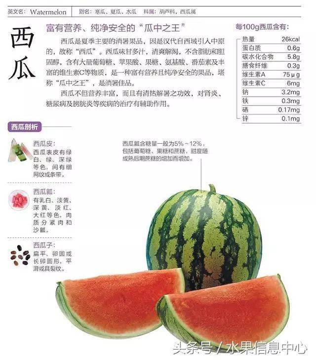水果奶奶资料网，您身边的水果百科全书