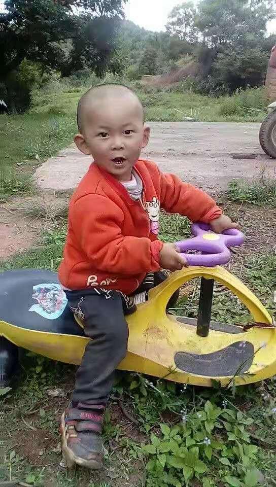 探索水果奶奶的免费综合资料，丰富资源与实用指南