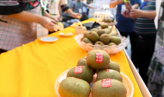 水果奶奶的心水报2023年最新版，解锁健康与美味的双重盛宴