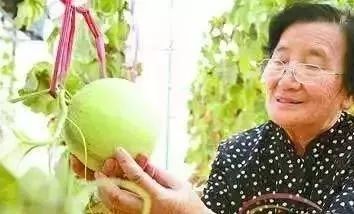 澳门花仙子水果奶奶，传承与创新并蓄的甜蜜故事