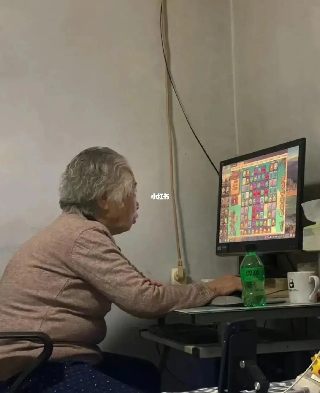 电脑、水果与奶奶，在理想论坛的温馨交汇