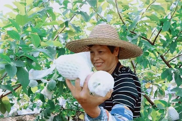 水果奶奶 第10页
