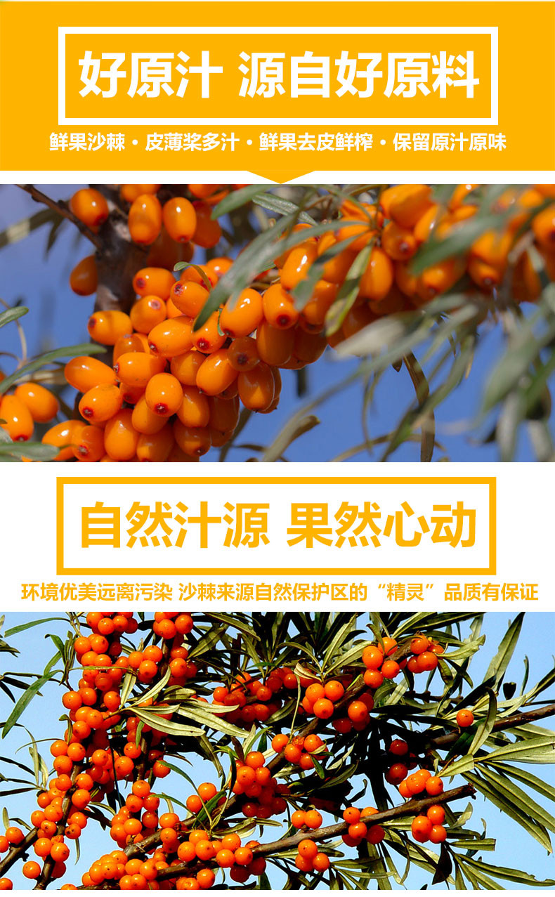 246水果奶奶，香港的果篮子传奇