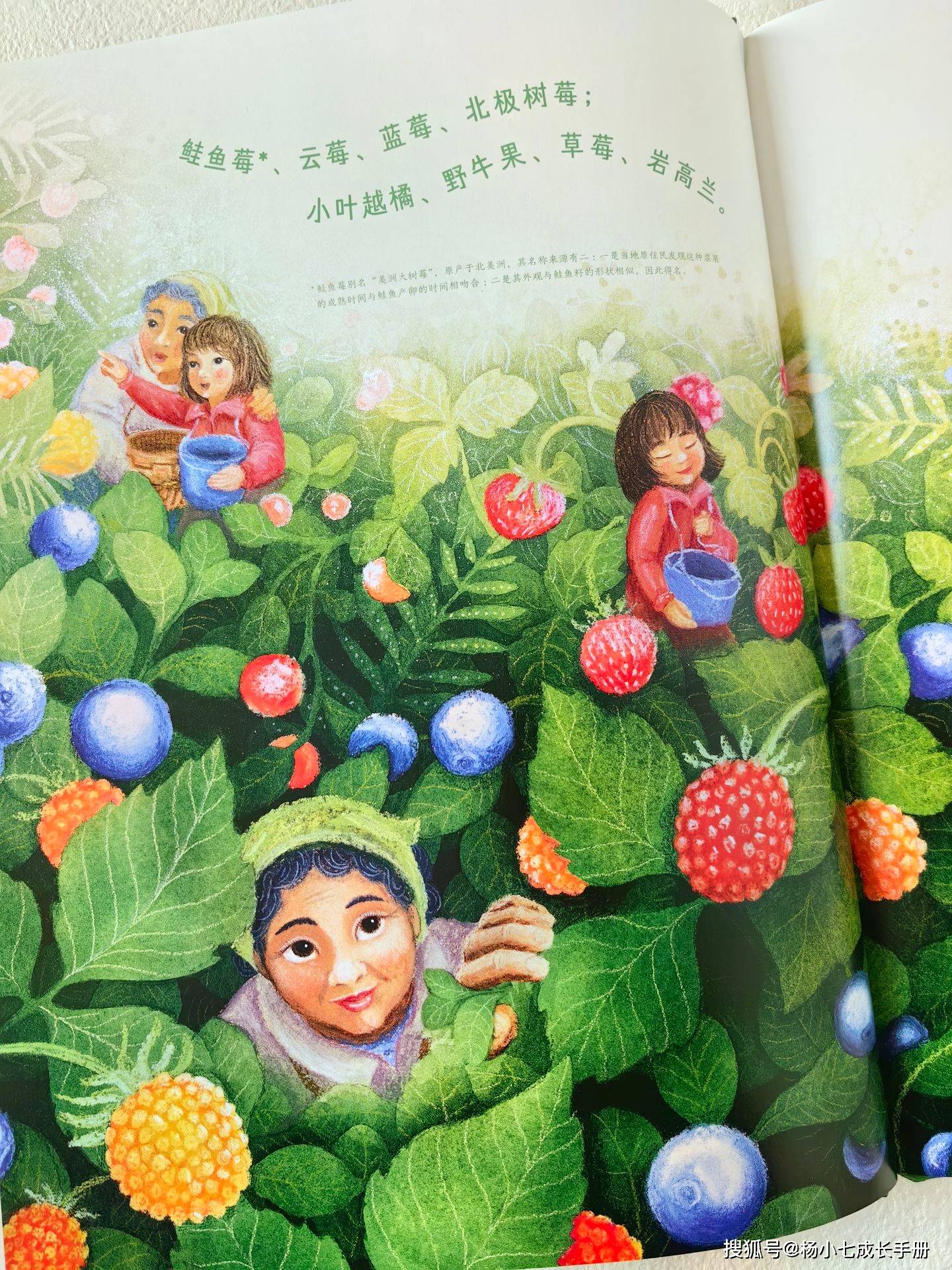 水果奶奶的奇妙故事时光，全文阅读之旅