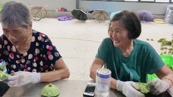 水果奶奶，用图片大全和简单做法，打造健康美味的夏日盛宴