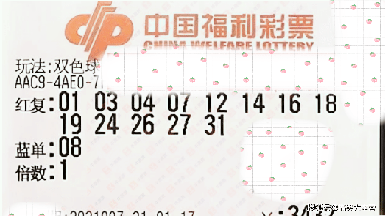澳门王中王的神秘面纱，揭秘免费公开的精准资料澳门王中王精准资料大全免费公开大片