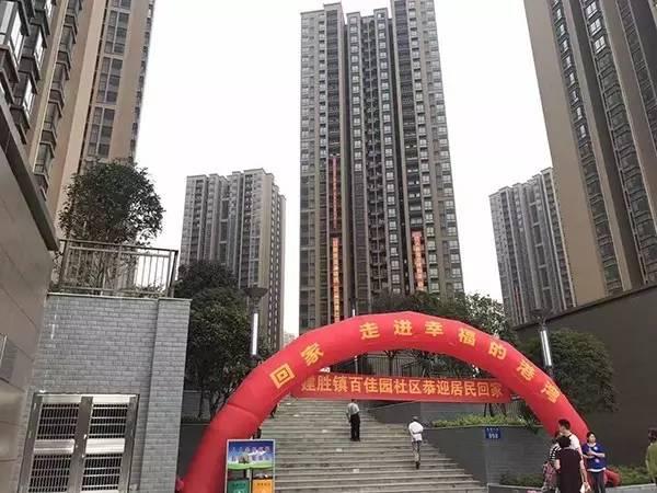 今期香港开奖结果记录，透视彩票文化与公众生活的微妙交织今期香港开奖结果记录一