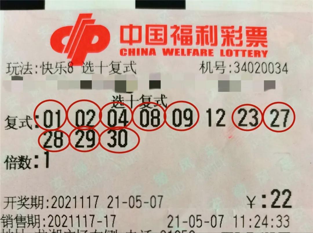 探索数字的奥秘，11选五开奖结果查询的乐趣与技巧