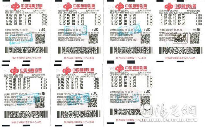 福彩3d字谜今日，解锁数字背后的智慧与乐趣