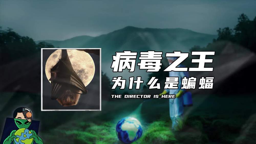 htgvjy 第233页