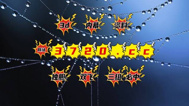 3D走势图，近300期专业分析带连线图详解