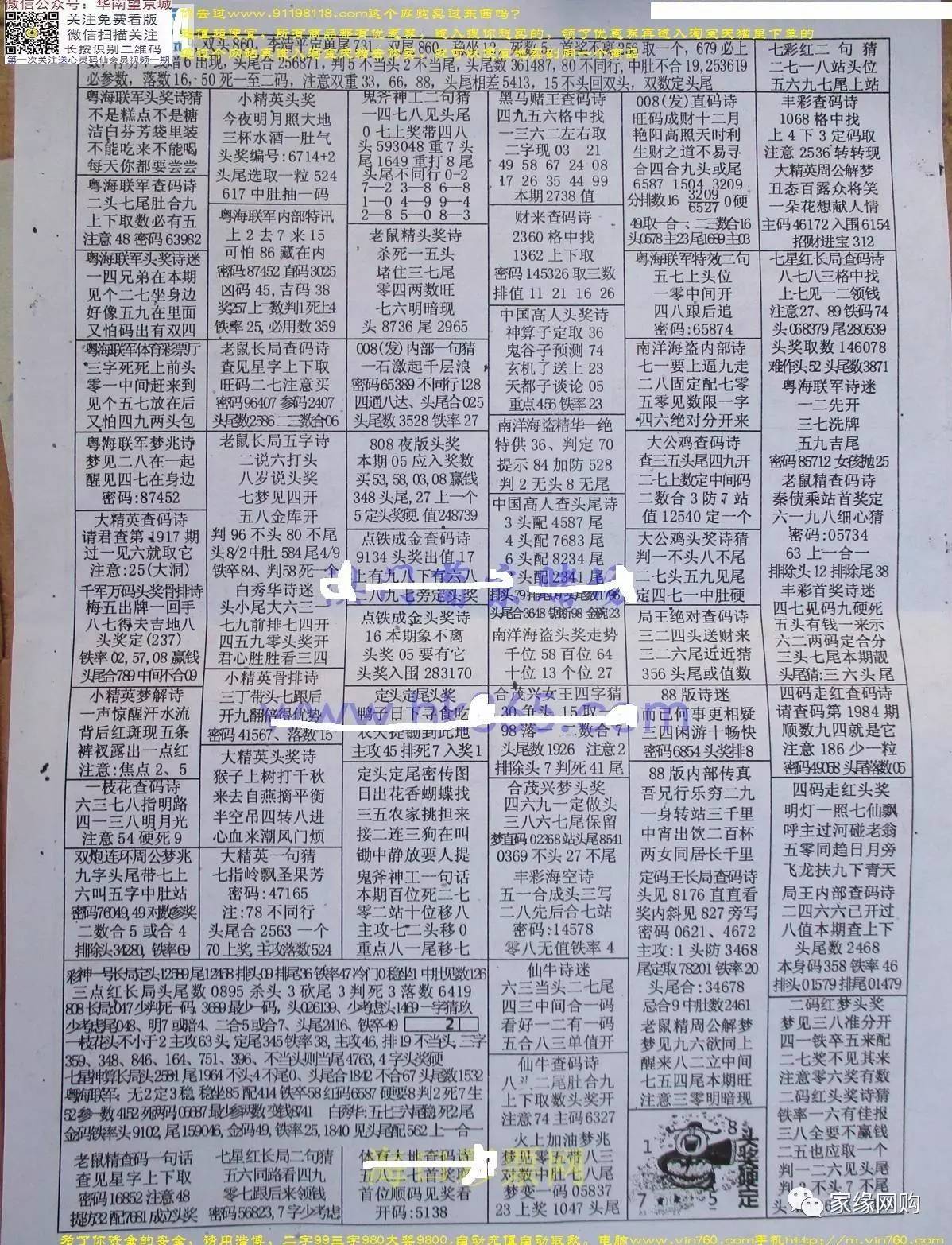探索数字彩票的奥秘，特区论坛与七星彩论坛的深度剖析