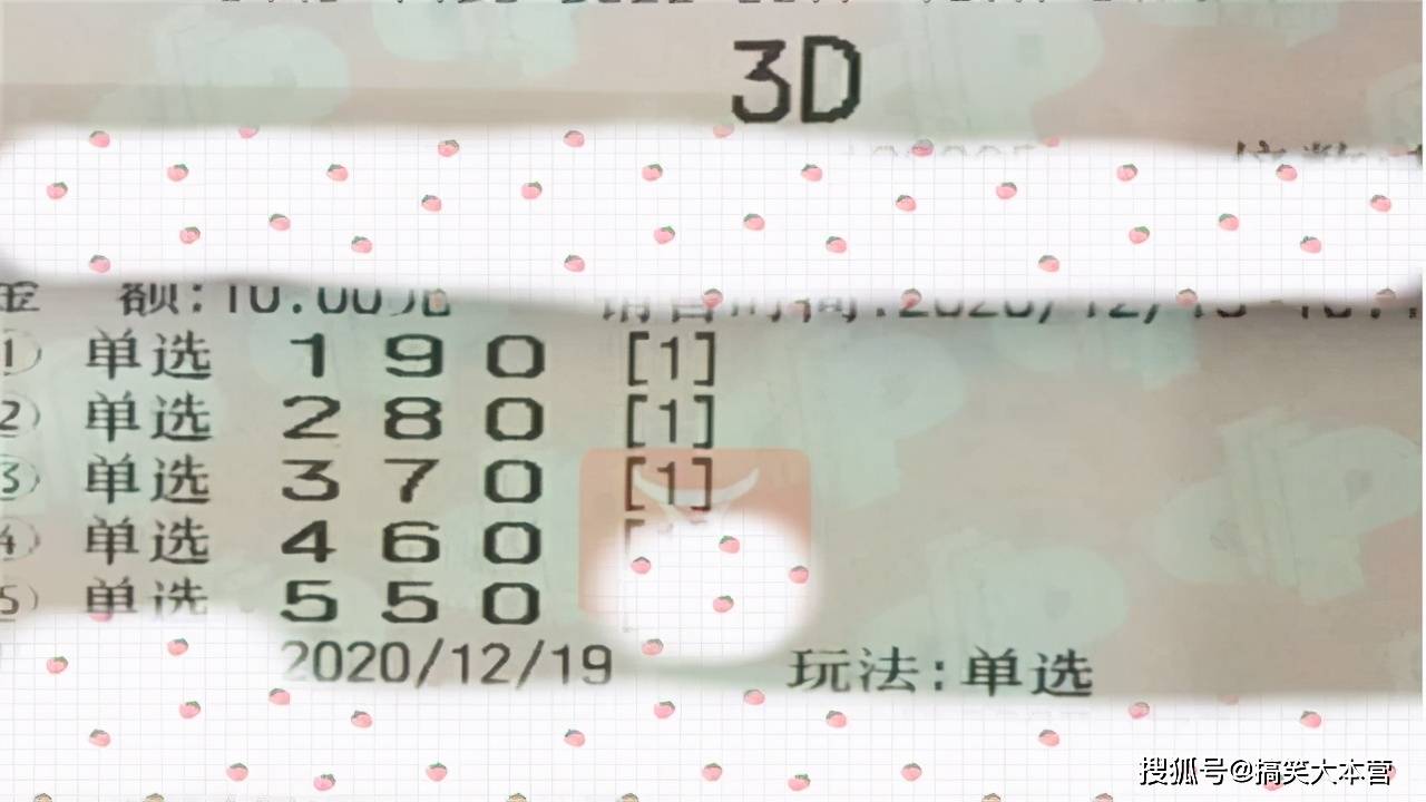 探索中国福利彩票3D开奖结果，揭秘查询方式与影响