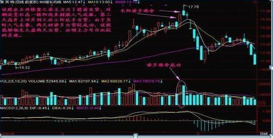 最新双色球500期走势深度解析，探寻数字背后的规律与趋势