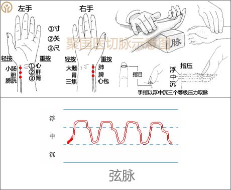 管家婆的资料一肖中特，揭秘传统与现代结合的投资智慧管家婆1肖中特