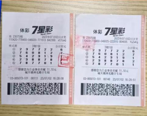 探秘南国彩票论坛与海南七星彩论坛，彩民的智慧殿堂与娱乐新天地