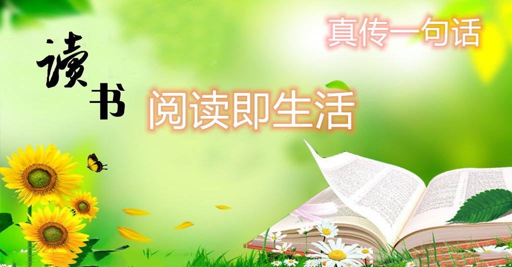3D走势图专业版，带连线的深度解析与实战应用