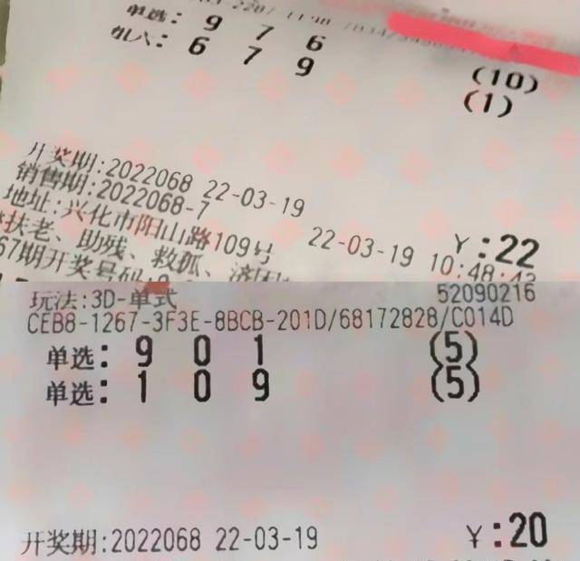 福彩3D之家，试机号背后的奥秘与乐趣