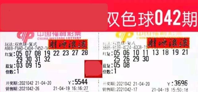 管家婆必出一肖一码一中特，揭秘背后的真相与警示