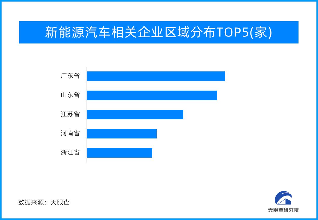 探索双色球2024年116期的奇妙之旅，梦想与现实的交汇