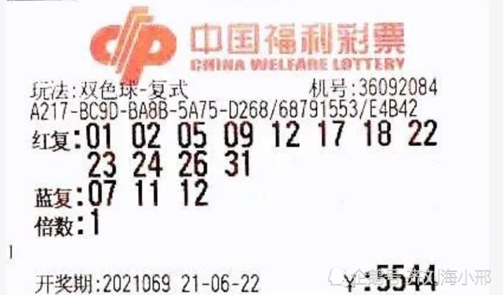 幸运数字 第12页
