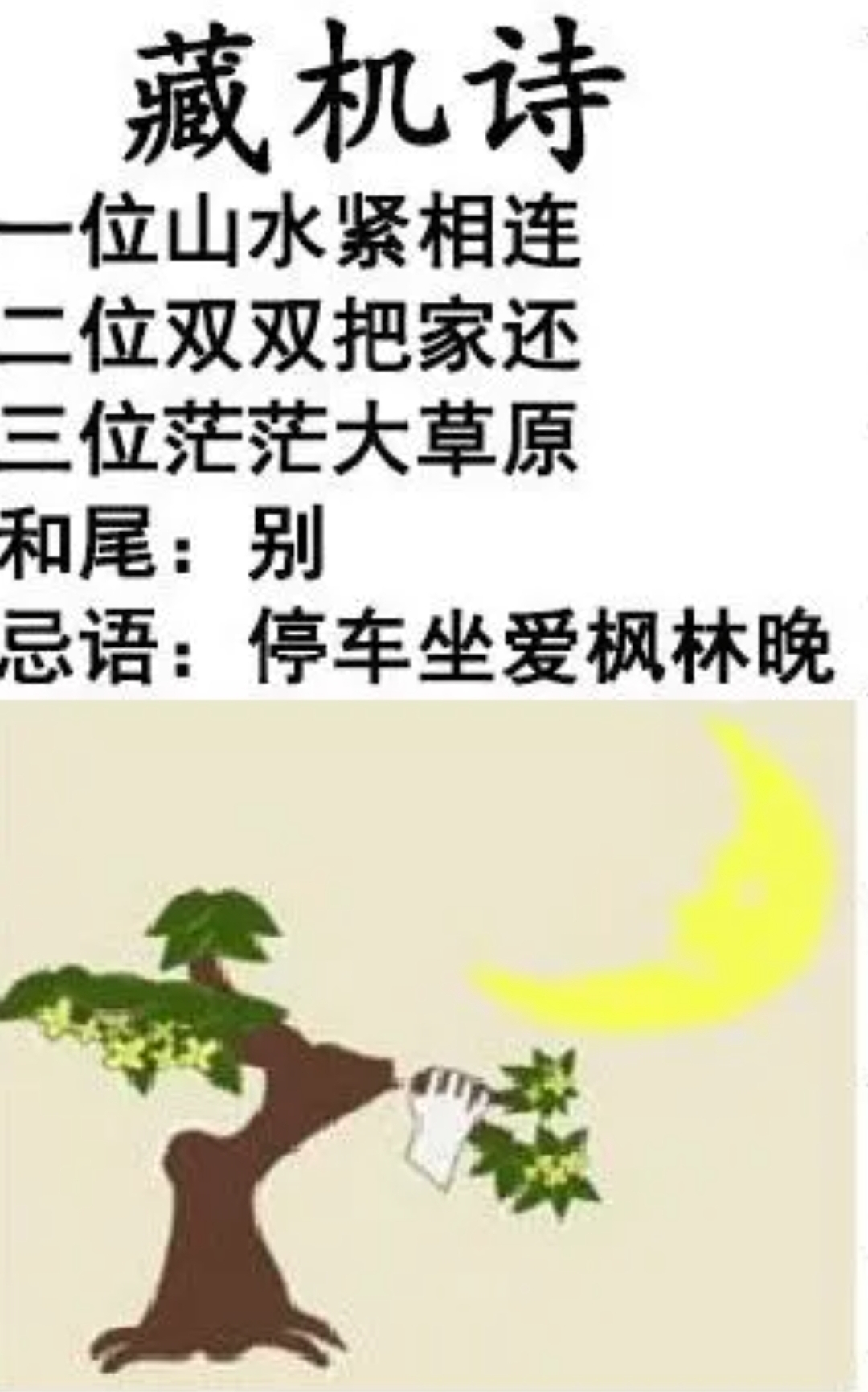 澳门一肖中选料